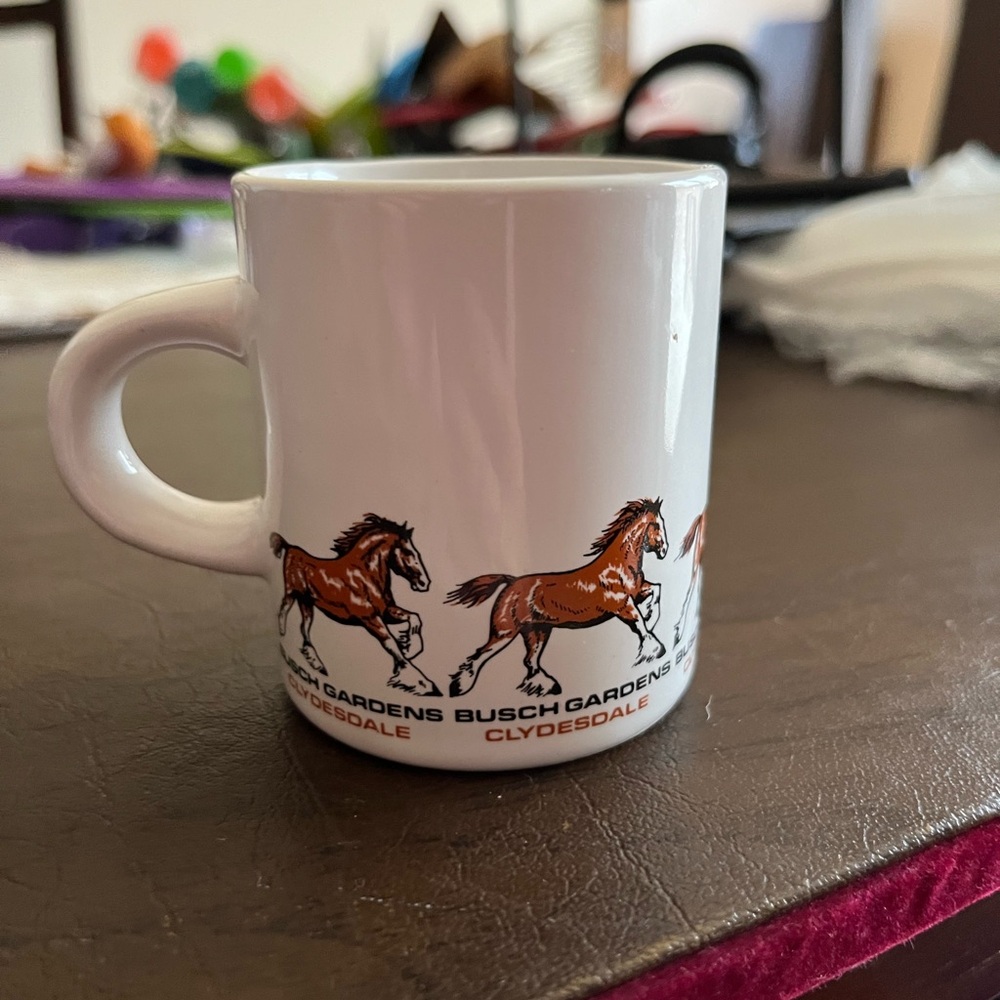 BUSCH GARDENS ACCESSORY
